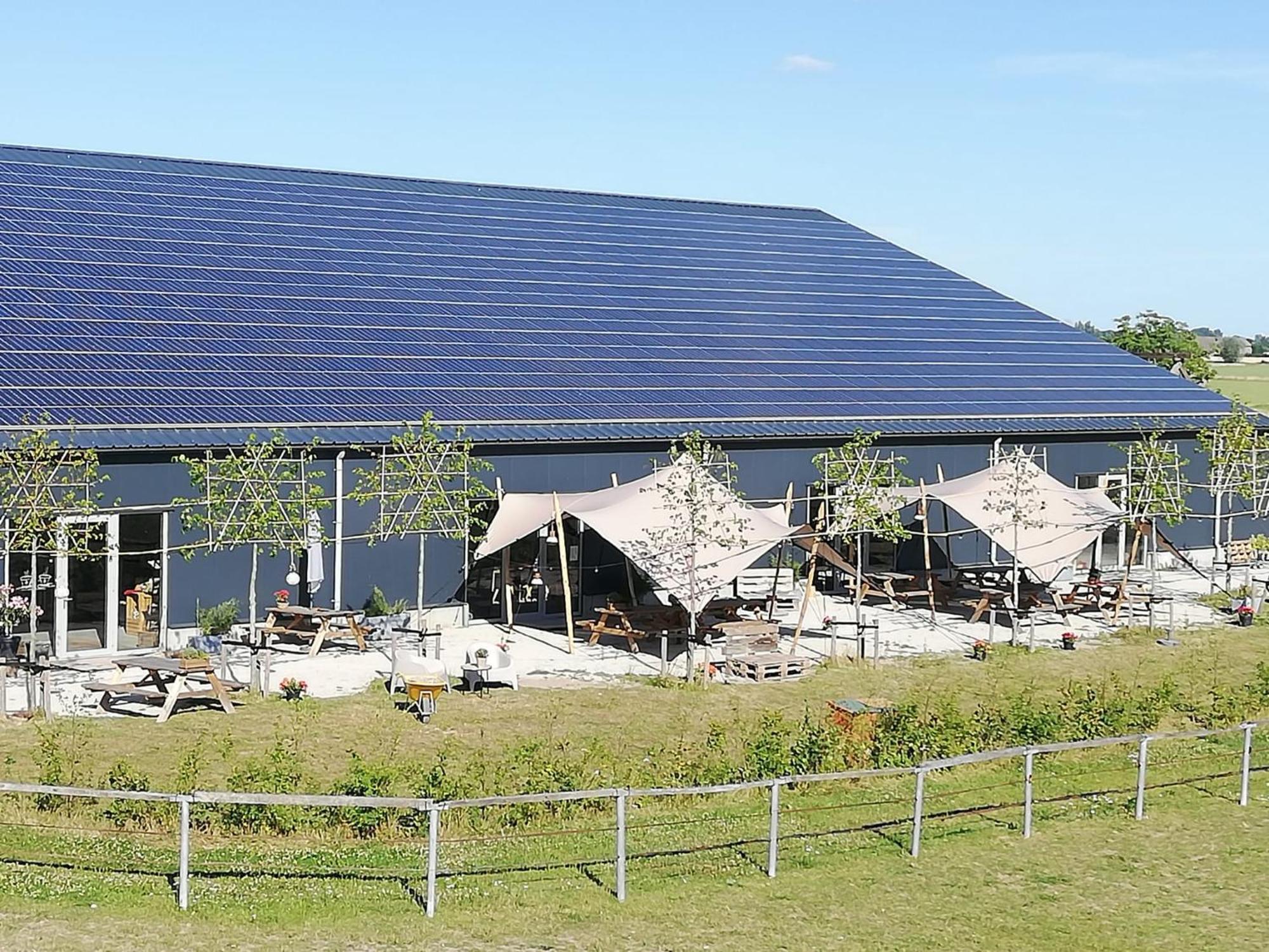 De Hazelaarshof Luxe Glampingtent Bij Natuurgebied De Millingerwaard Kekerdom Zewnętrze zdjęcie